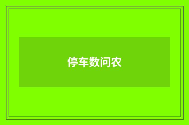 停车数问农
