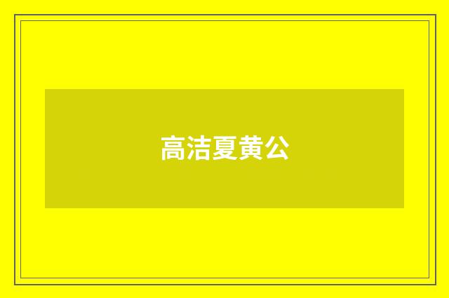 高洁夏黄公