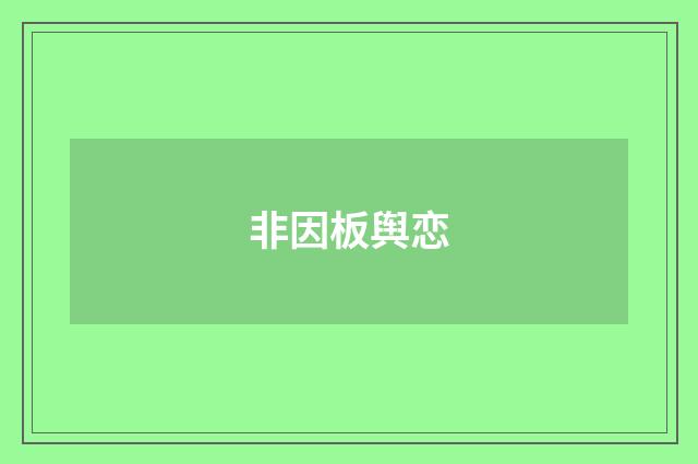 非因板舆恋