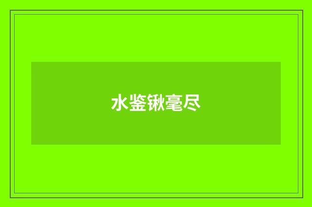 水鉴锹毫尽