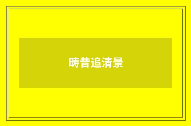 畴昔追清景