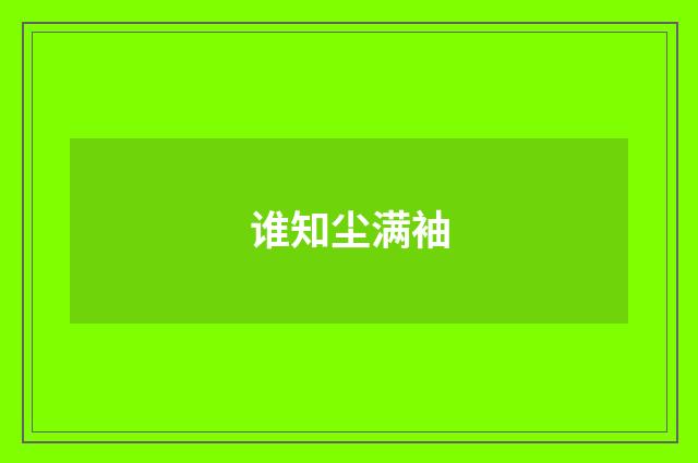 谁知尘满袖