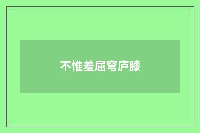 不惟羞屈穹庐膝