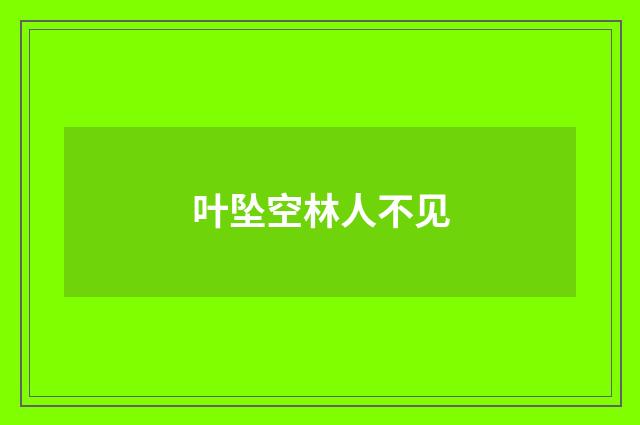 叶坠空林人不见
