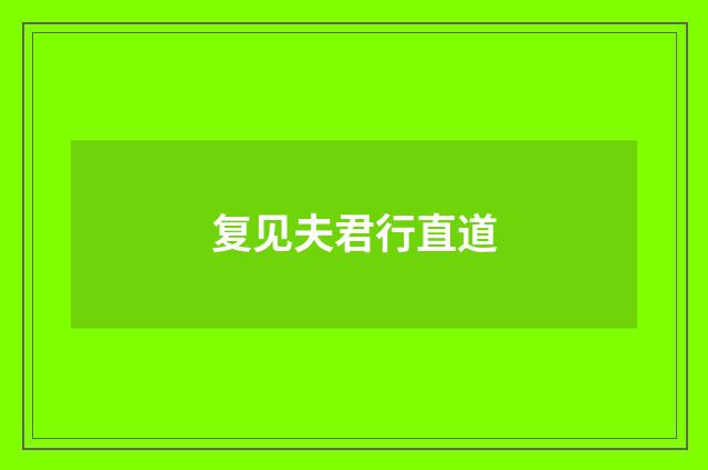 复见夫君行直道