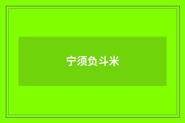 宁须负斗米