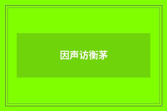 因声访衡茅