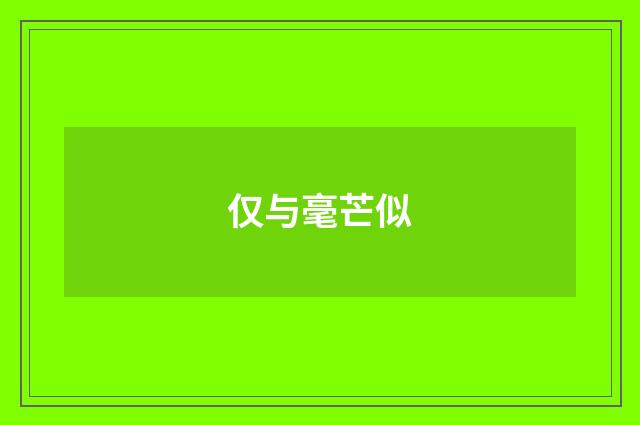 仅与毫芒似
