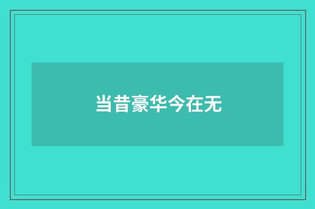 当昔豪华今在无
