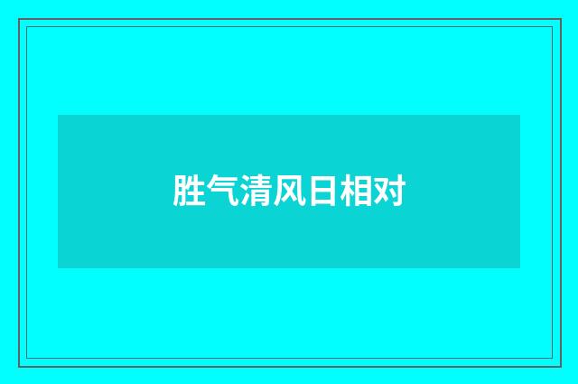 胜气清风日相对