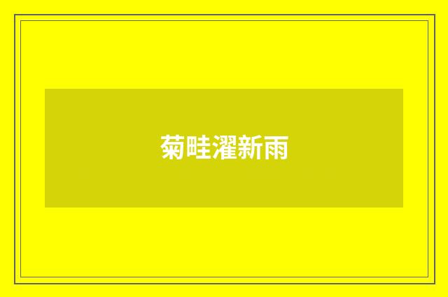 菊畦濯新雨