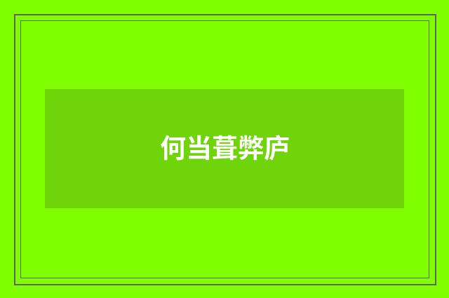 何当葺弊庐