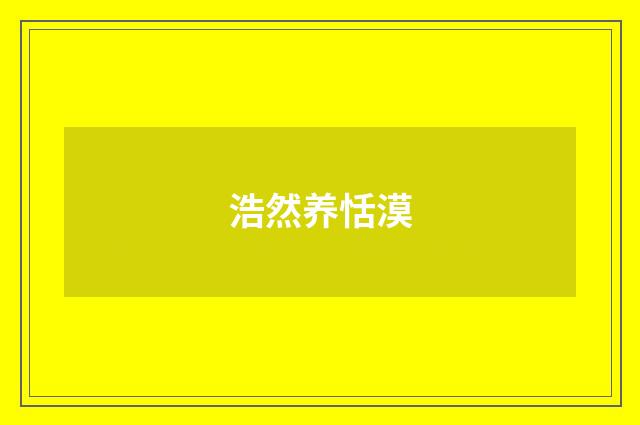 浩然养恬漠