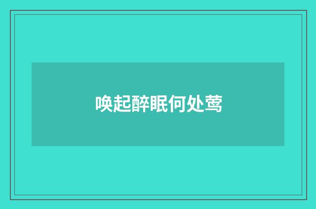 唤起醉眠何处莺