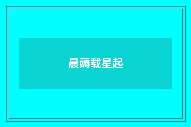 晨薅载星起
