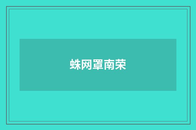 蛛网罩南荣