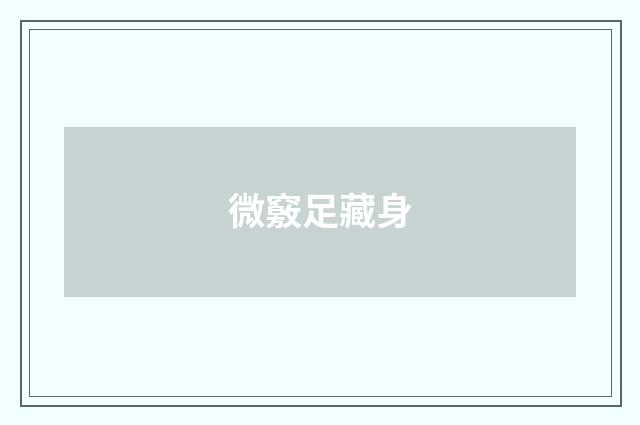 微竅足藏身
