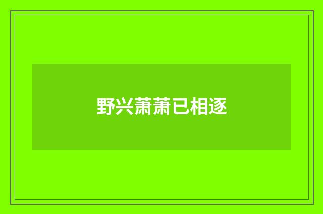 野兴萧萧已相逐