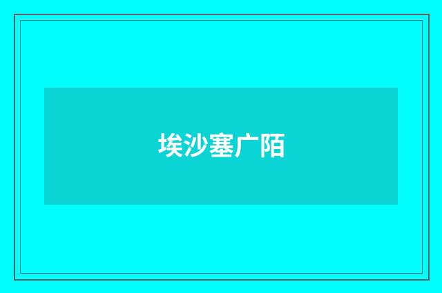 埃沙塞广陌