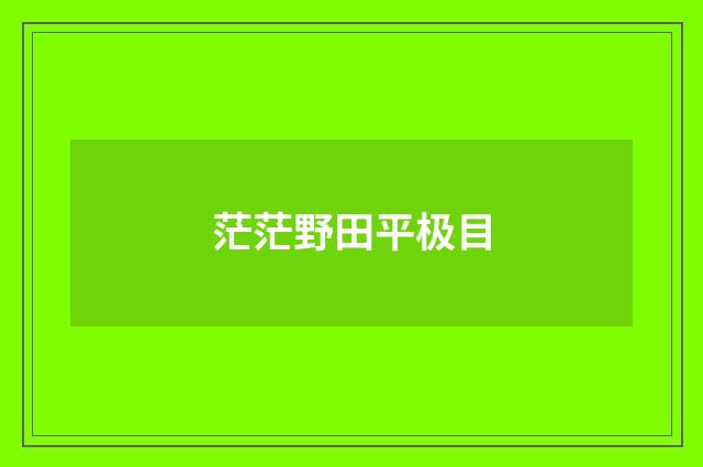 茫茫野田平极目