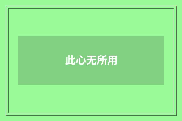 此心无所用