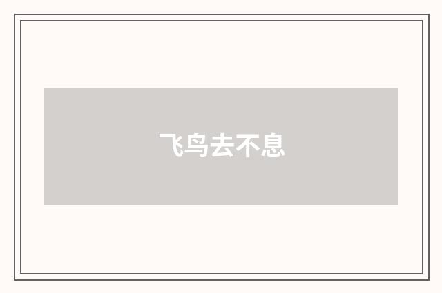 飞鸟去不息