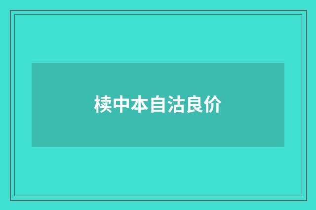椟中本自沽良价