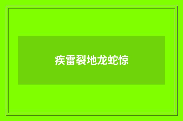 疾雷裂地龙蛇惊