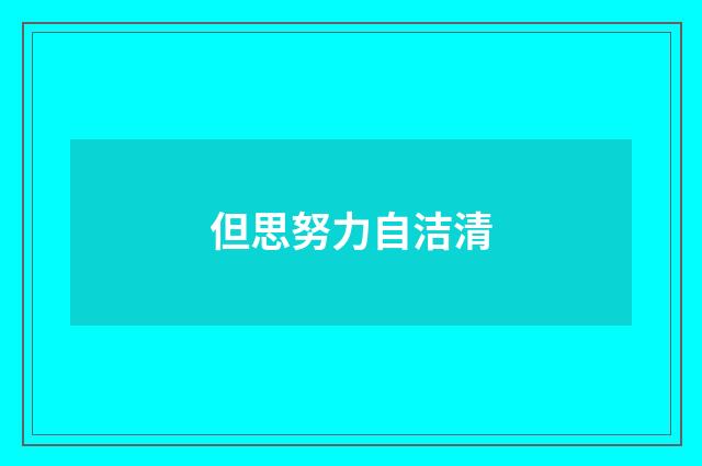 但思努力自洁清