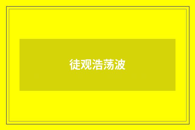 徒观浩荡波