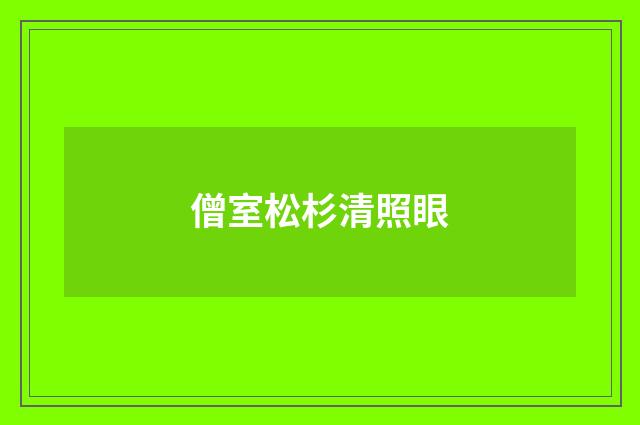 僧室松杉清照眼