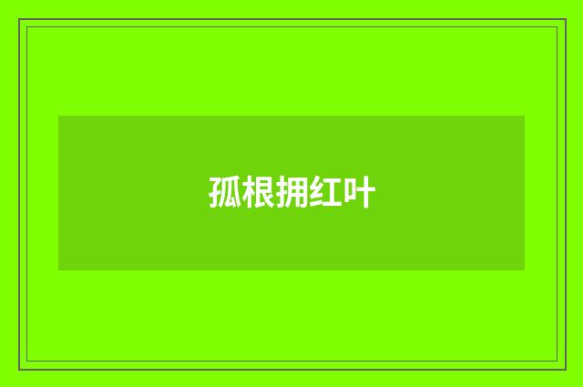 孤根拥红叶