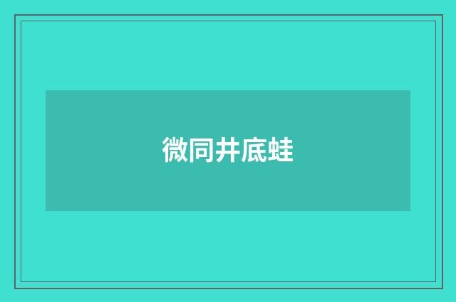 微同井底蛙