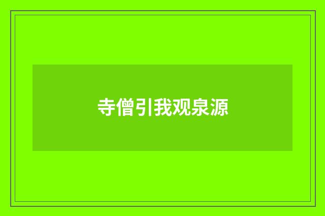 寺僧引我观泉源