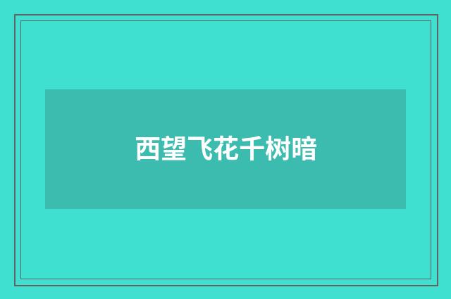 西望飞花千树暗