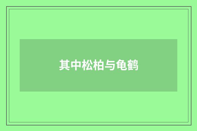 其中松柏与龟鹤