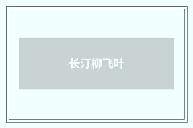 长汀柳飞叶