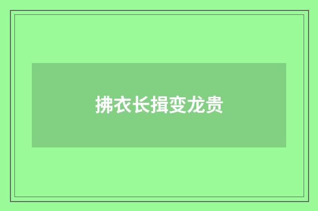 拂衣长揖变龙贵