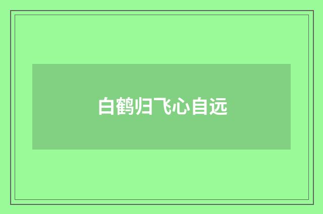 白鹤归飞心自远