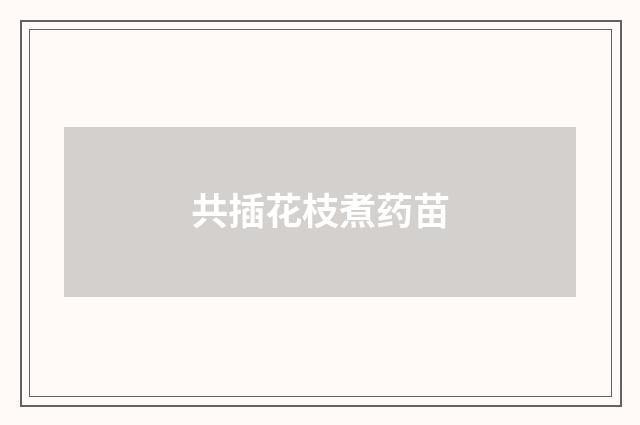 共插花枝煮药苗