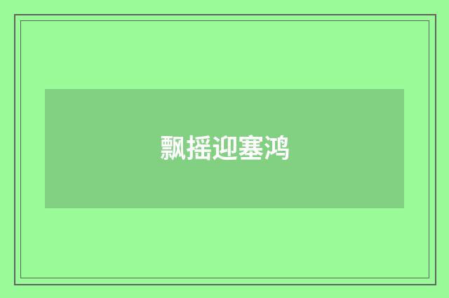 飘摇迎塞鸿