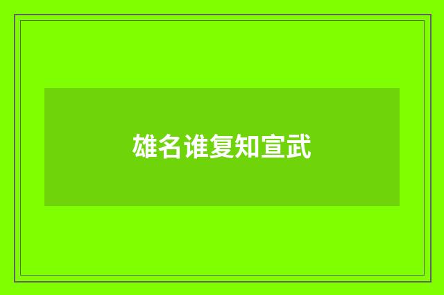 雄名谁复知宣武