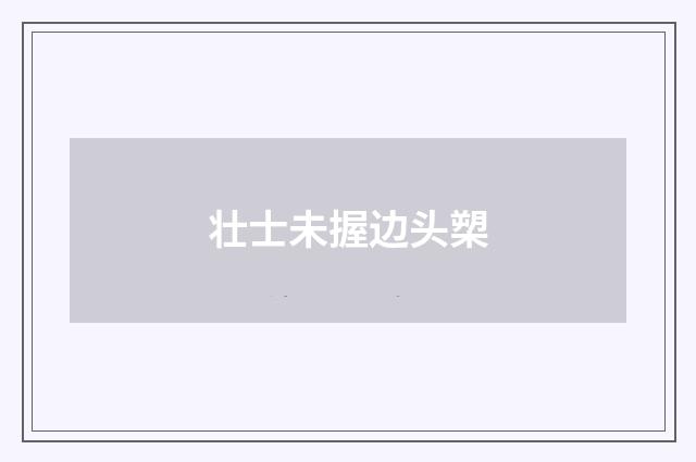 壮士未握边头槊