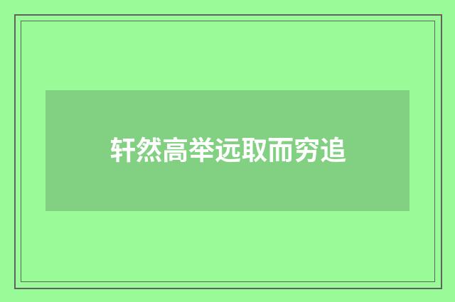 轩然高举远取而穷追