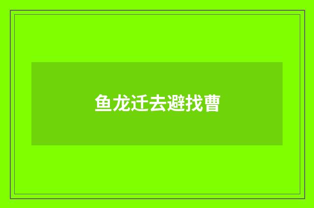 鱼龙迁去避找曹