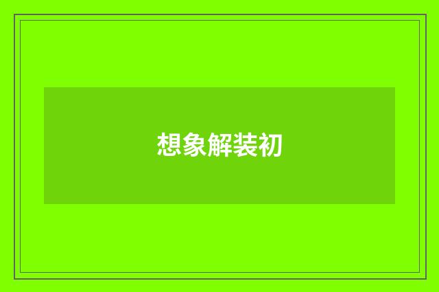 想象解装初