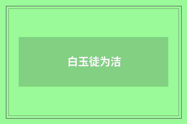 白玉徒为洁