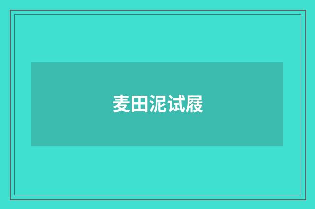 麦田泥试屐