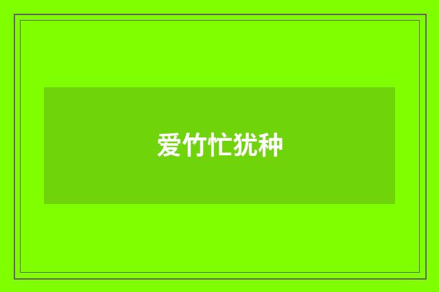 爱竹忙犹种