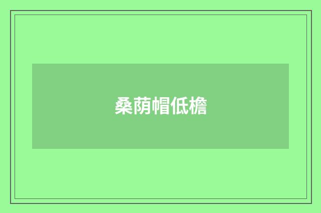 桑荫帽低檐